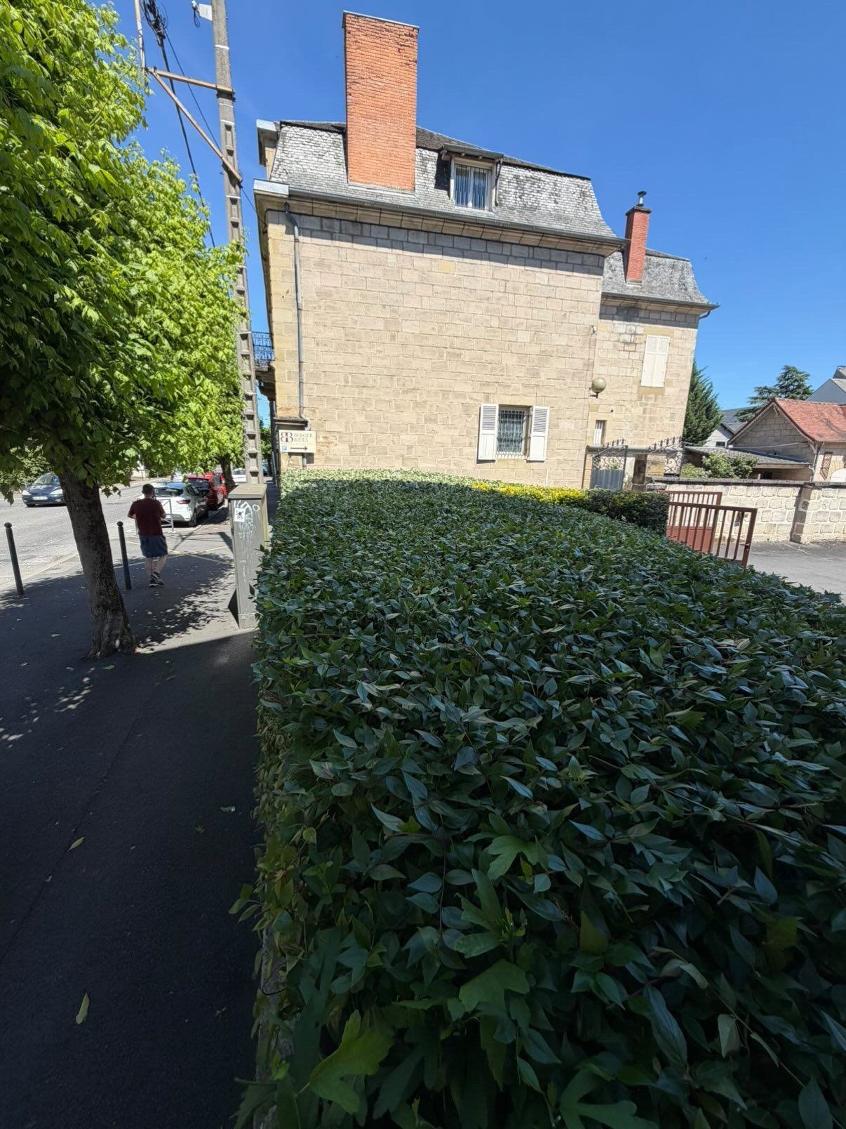 Taille haie résidentielle Corrèze